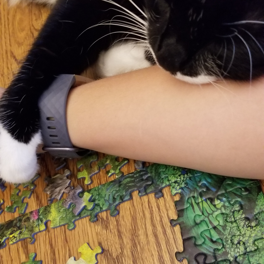 a tuxedo cat laying on an arm, over a partly done puzzle