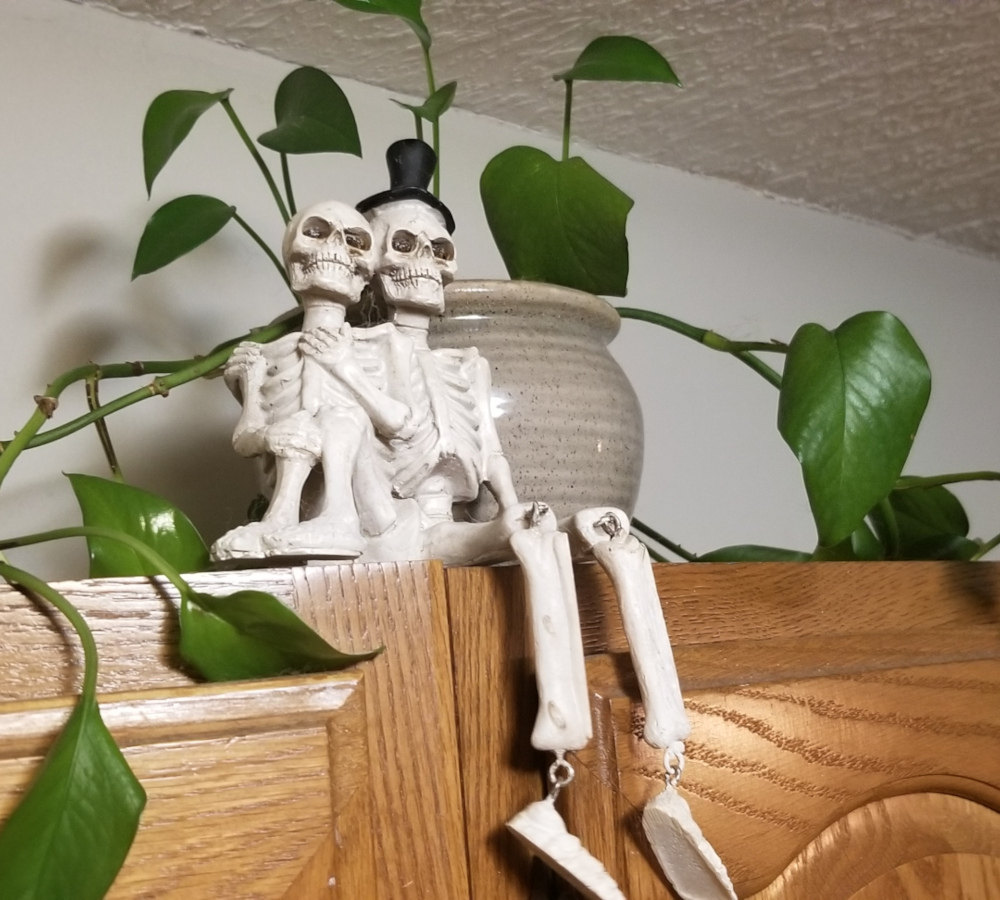 A Halloween decoration of two skeletons cuddling together in front of a pothos in a tan pot. 