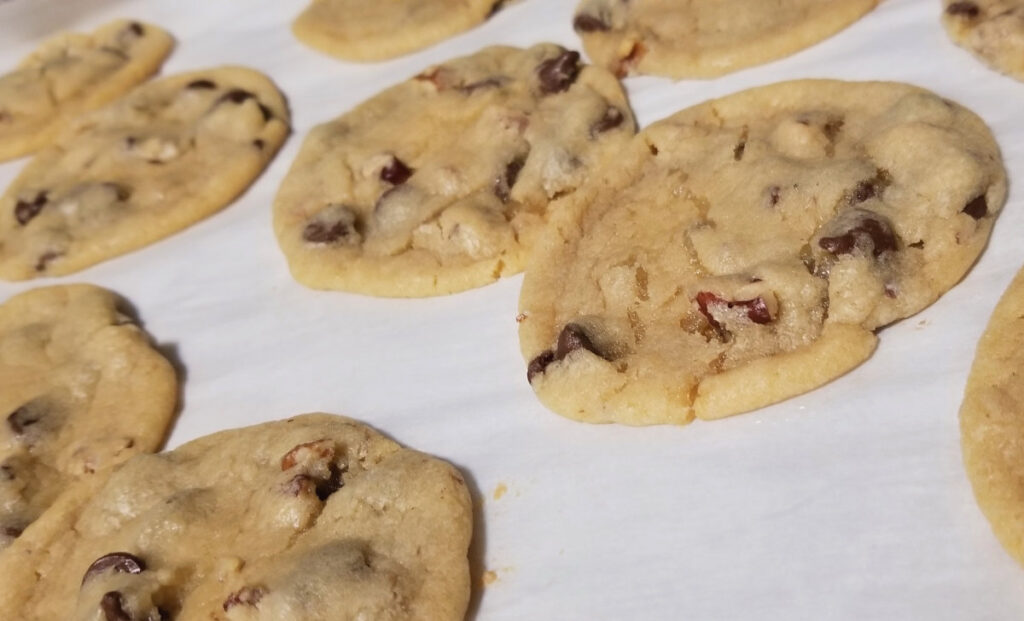 Toasted Oatmeal Chocolate Chip Cookies - Avidly Ravenous