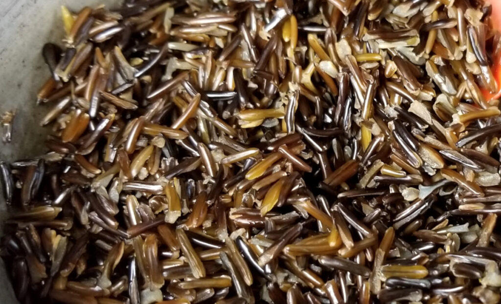 A close up of cooked wild rice.