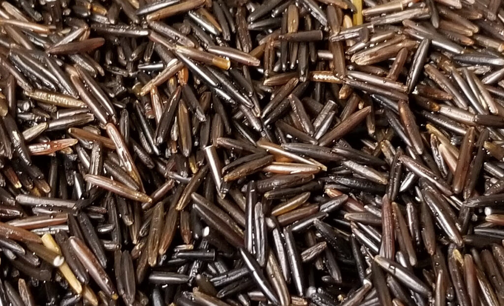 A close up of wild rice grains.