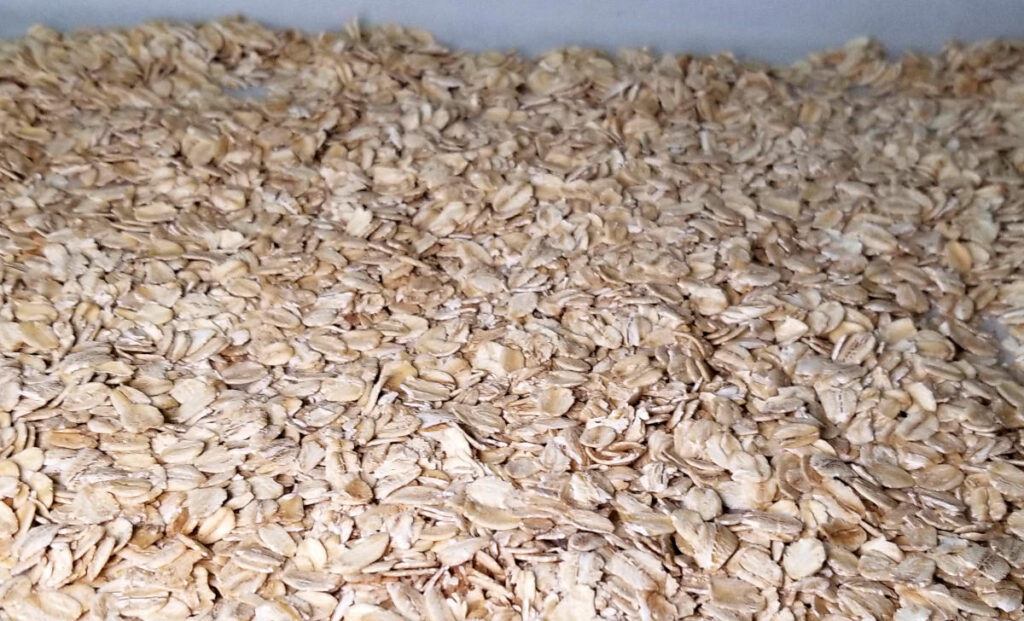 Toasted oats laying on a parchment lined baking sheet. 