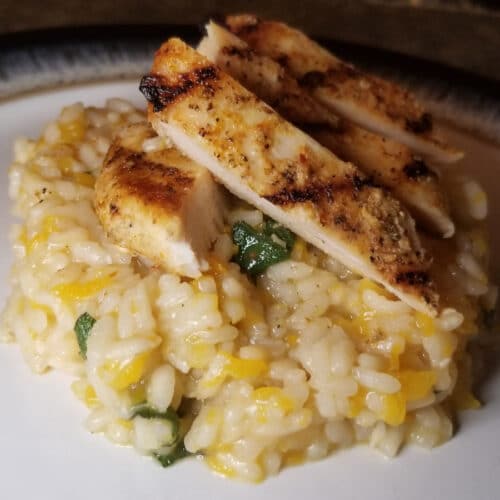 A close up of squash risotto with chicken