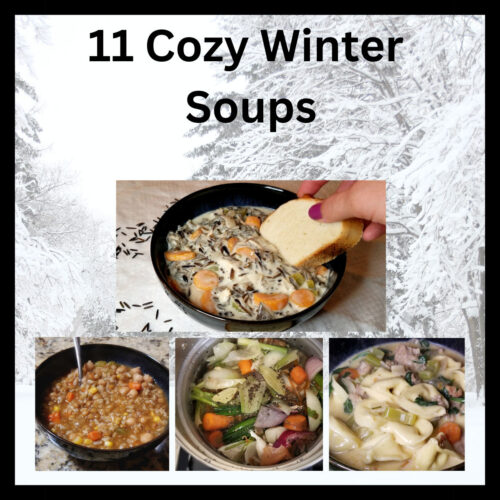 Text reads: eleven cozy winter soups. Pictures are wild rice, lentil, and tortellini soups and chicken stock.