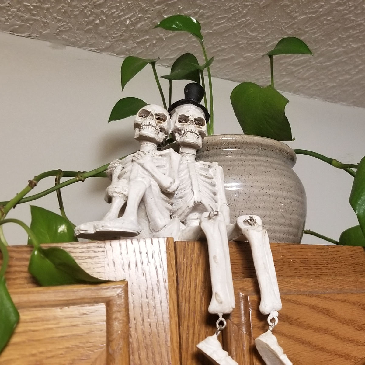 A skeleton couple sitting near a potted pathos plant.