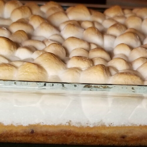 A close up of toasted smores bars with a graham cracker crust.